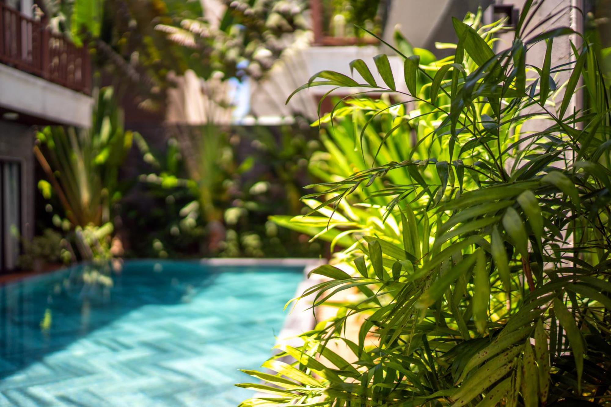 December Hoi An Villa Экстерьер фото
